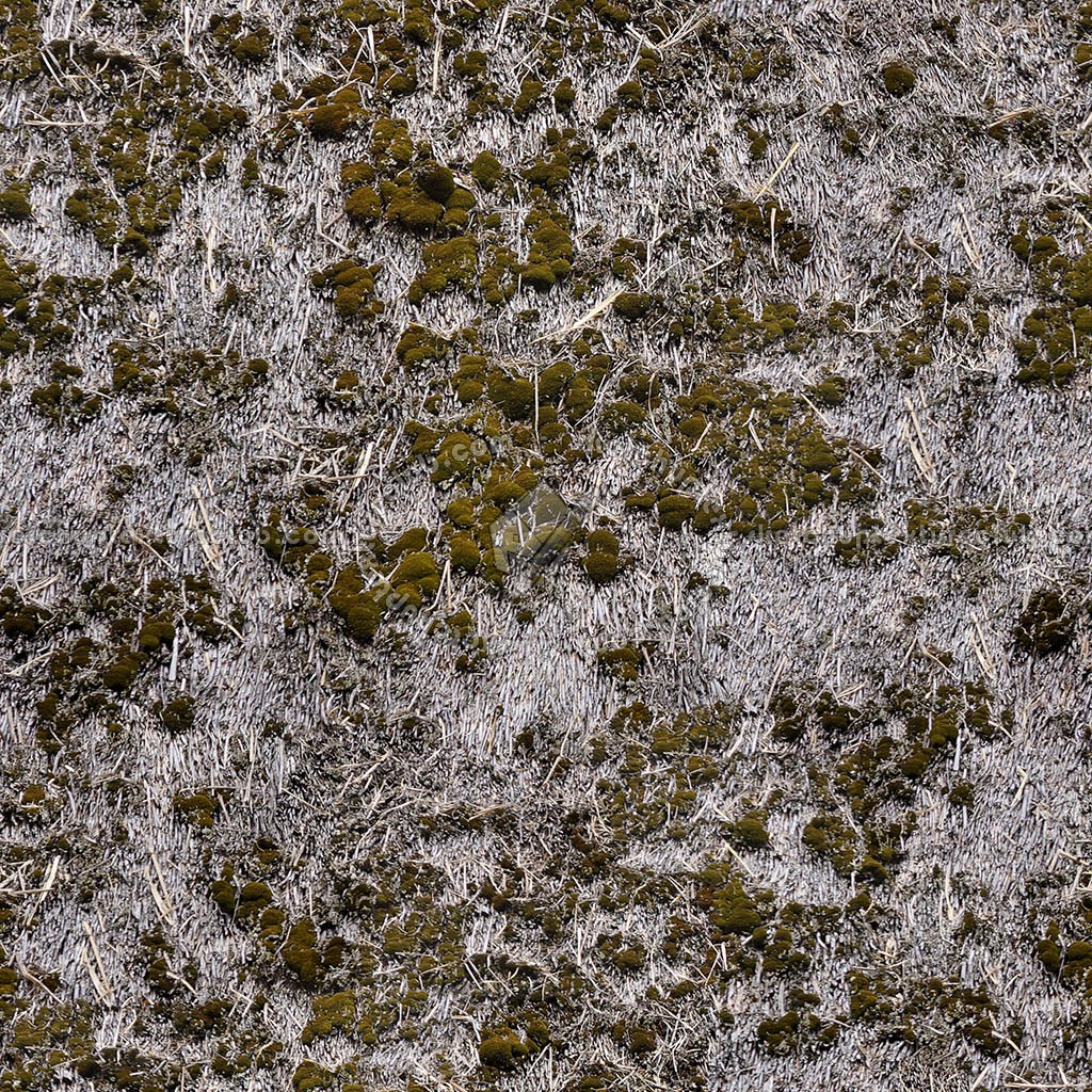 Textures   -   ARCHITECTURE   -   ROOFINGS   -   Thatched roofs  - thatched roof texture seamless 21416