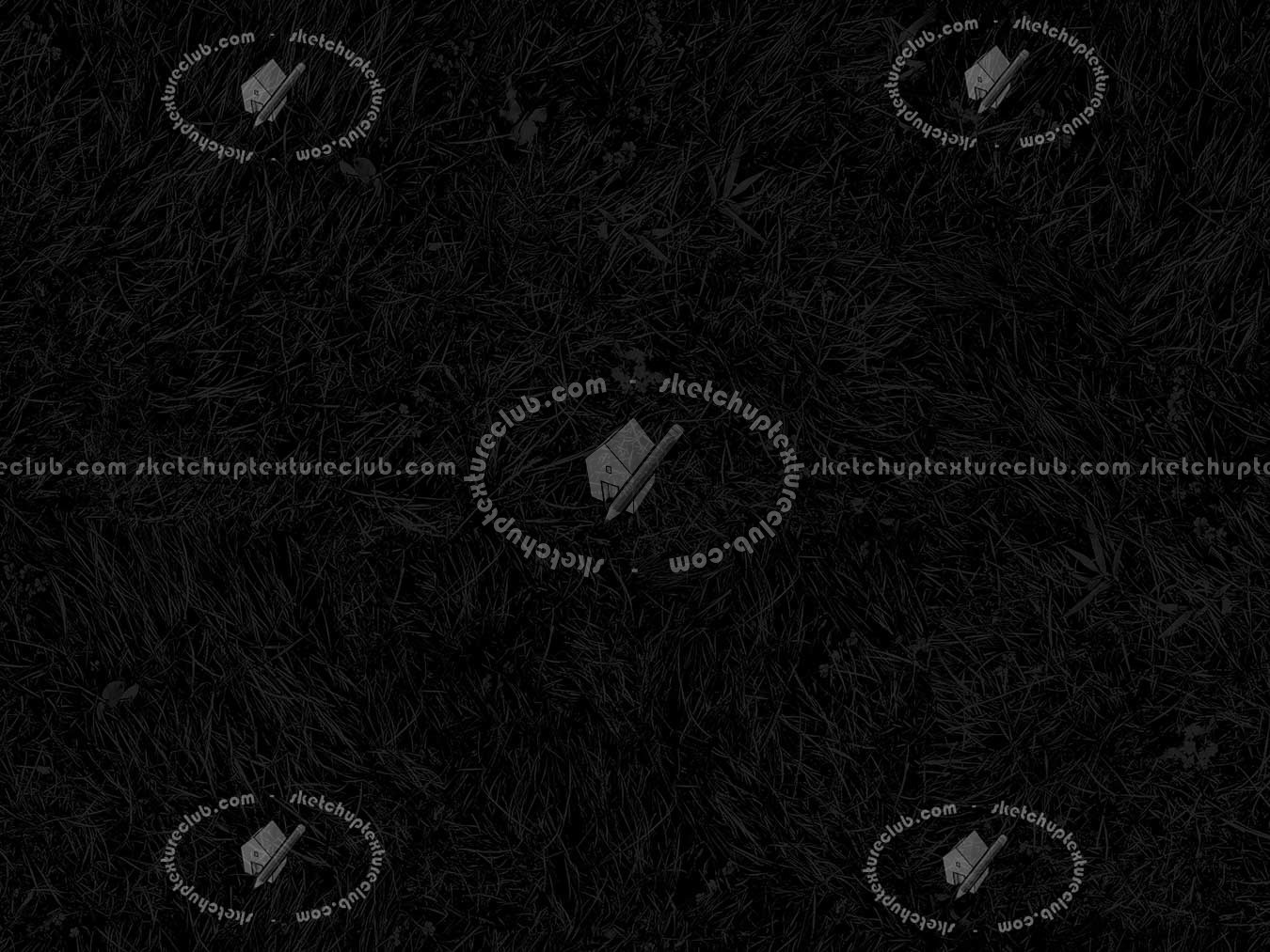 Textures   -   NATURE ELEMENTS   -   VEGETATION   -   Green grass  - Green grass texture seamless 12971 - Specular