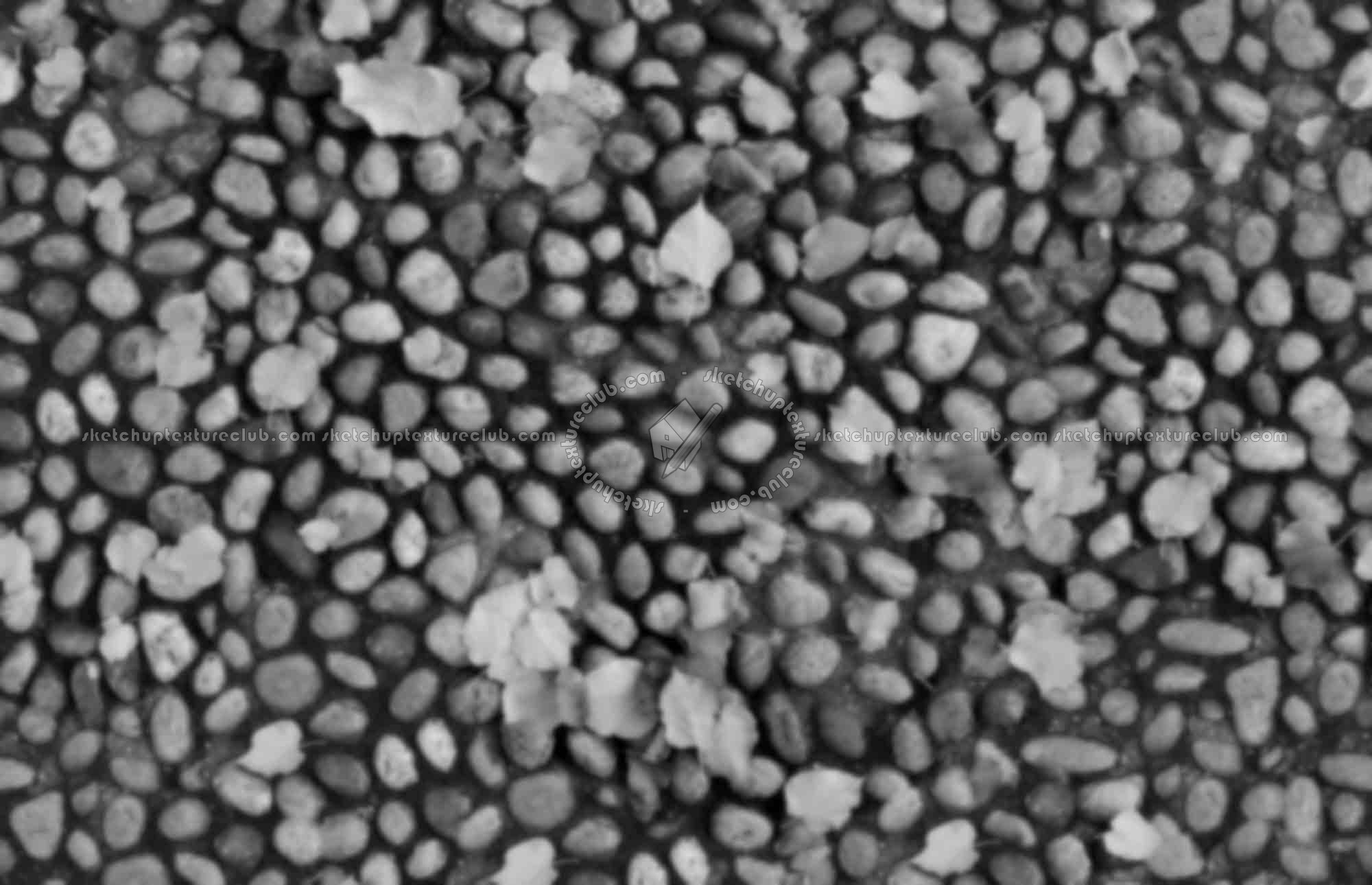 Textures   -   ARCHITECTURE   -   ROADS   -   Paving streets   -   Rounded cobble  - Rounded cobblestone with dead leaves texture seamless 18791 - Displacement
