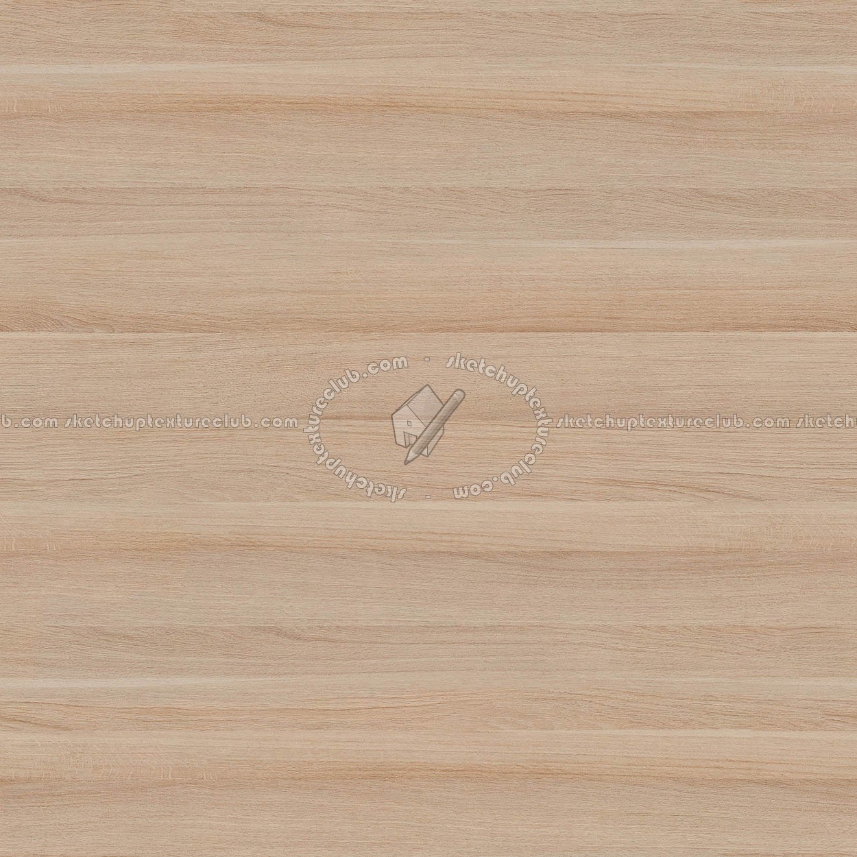 Textures   -   ARCHITECTURE   -   WOOD   -   Fine wood   -   Light wood  - Light wood fine texture seamless 04348 (seamless)