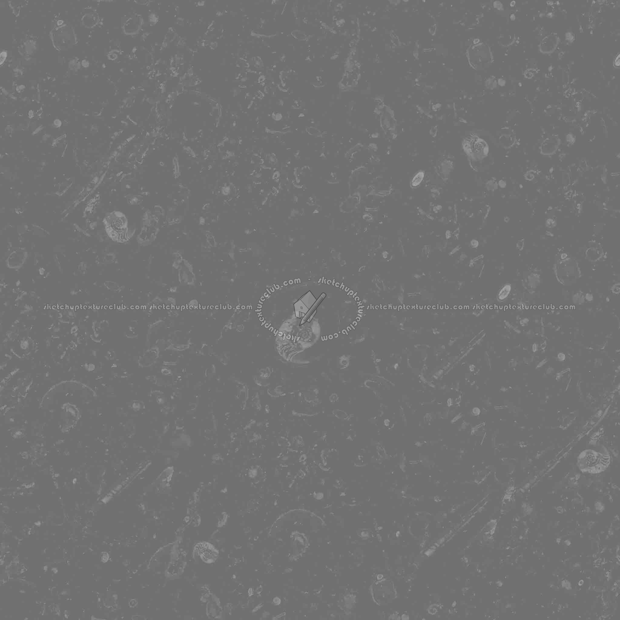 Textures   -   ARCHITECTURE   -   MARBLE SLABS   -   Brown  - Slab marble fossil brown texture seamless 02031 - Specular