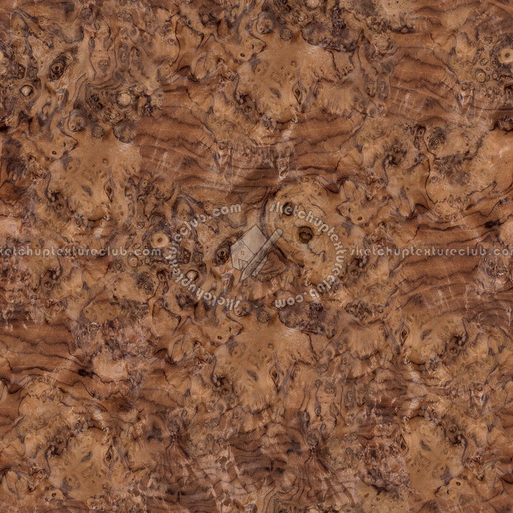 Textures   -   ARCHITECTURE   -   WOOD   -   Fine wood   -   Medium wood  - Walnut burl wood fine medium color texture seamless 04464 (seamless)