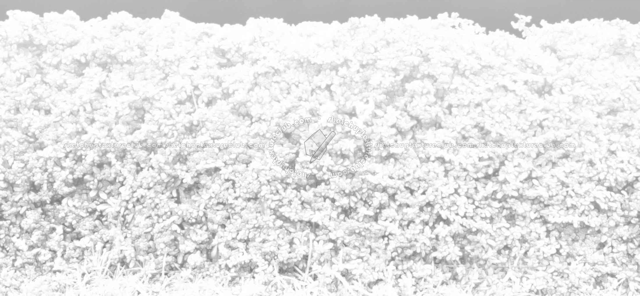 Textures   -   NATURE ELEMENTS   -   VEGETATION   -   Hedges  - Cut out autumnal hedge texture seamless 18706 - Ambient occlusion
