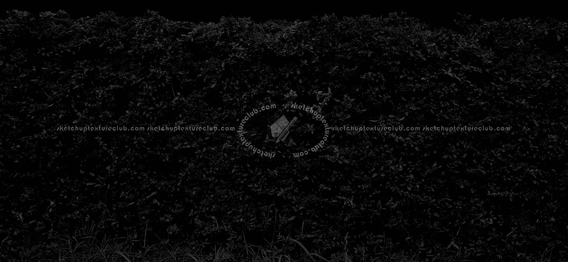 Textures   -   NATURE ELEMENTS   -   VEGETATION   -   Hedges  - Cut out autumnal hedge texture seamless 18706 - Specular