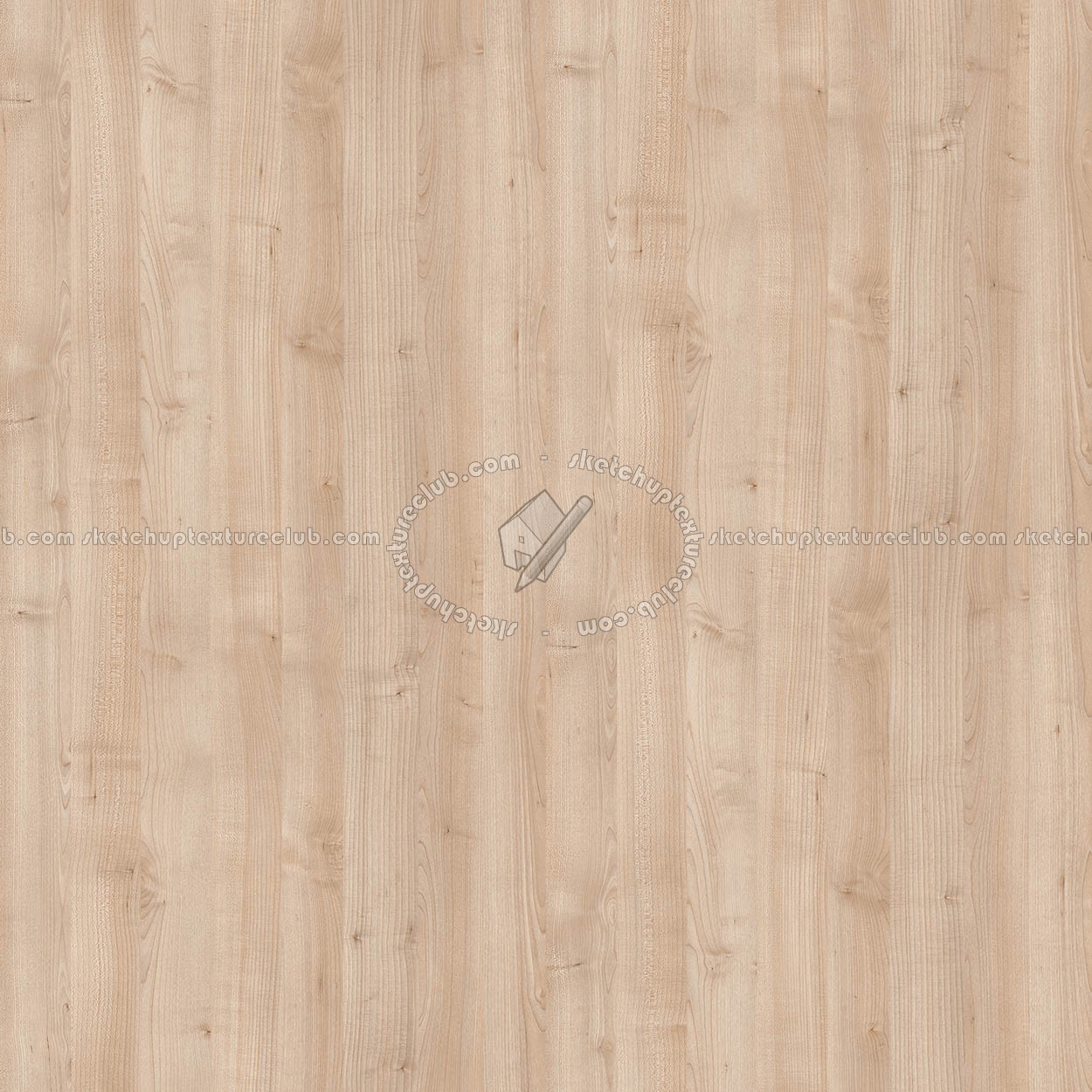 Textures   -   ARCHITECTURE   -   WOOD   -   Fine wood   -   Nordic Woods  - Norway maple wood pbr texture seamless 22508 (seamless)
