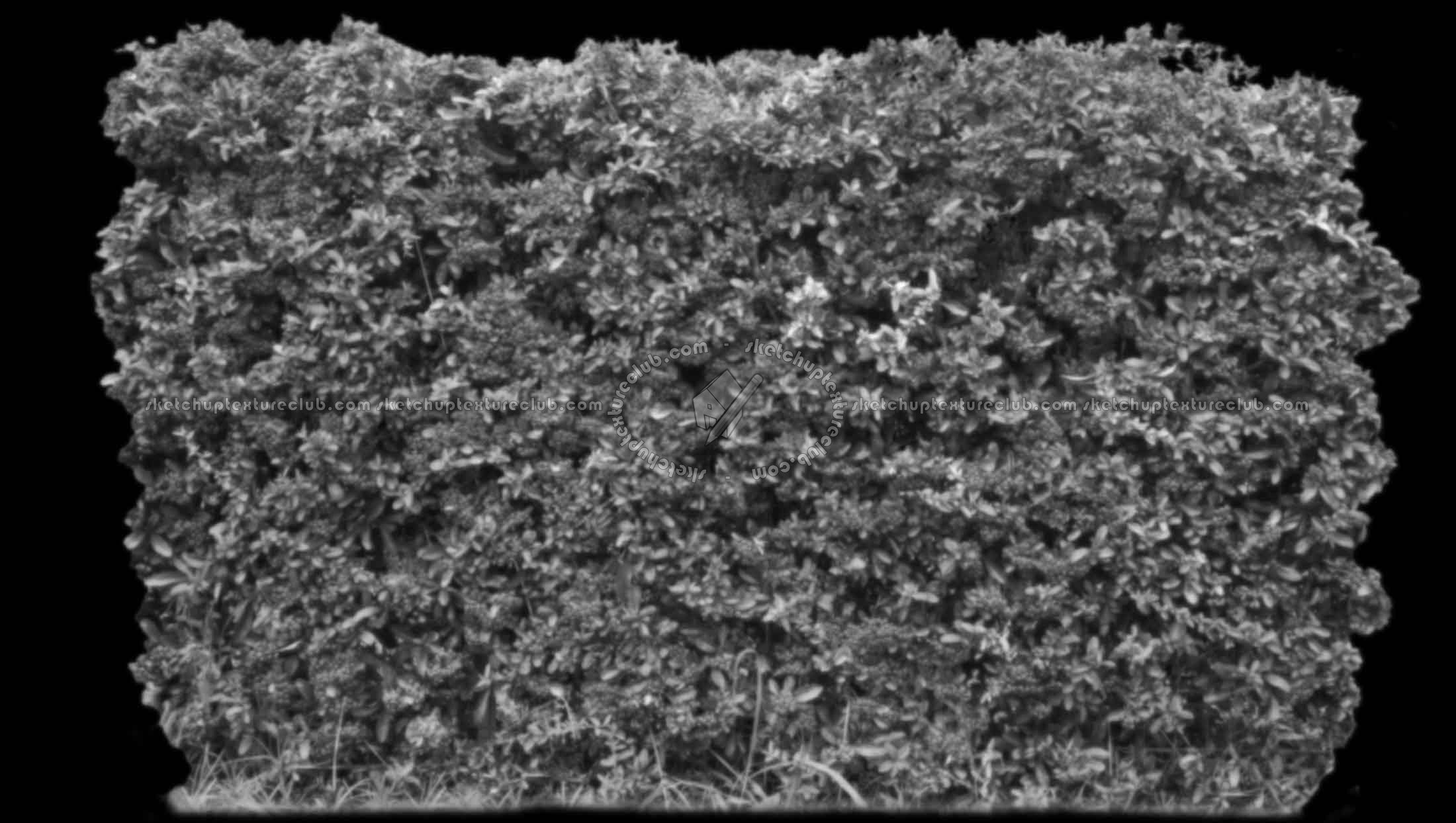 Textures   -   NATURE ELEMENTS   -   VEGETATION   -   Hedges  - Cut out autumnal hedge texture 18708 - Displacement