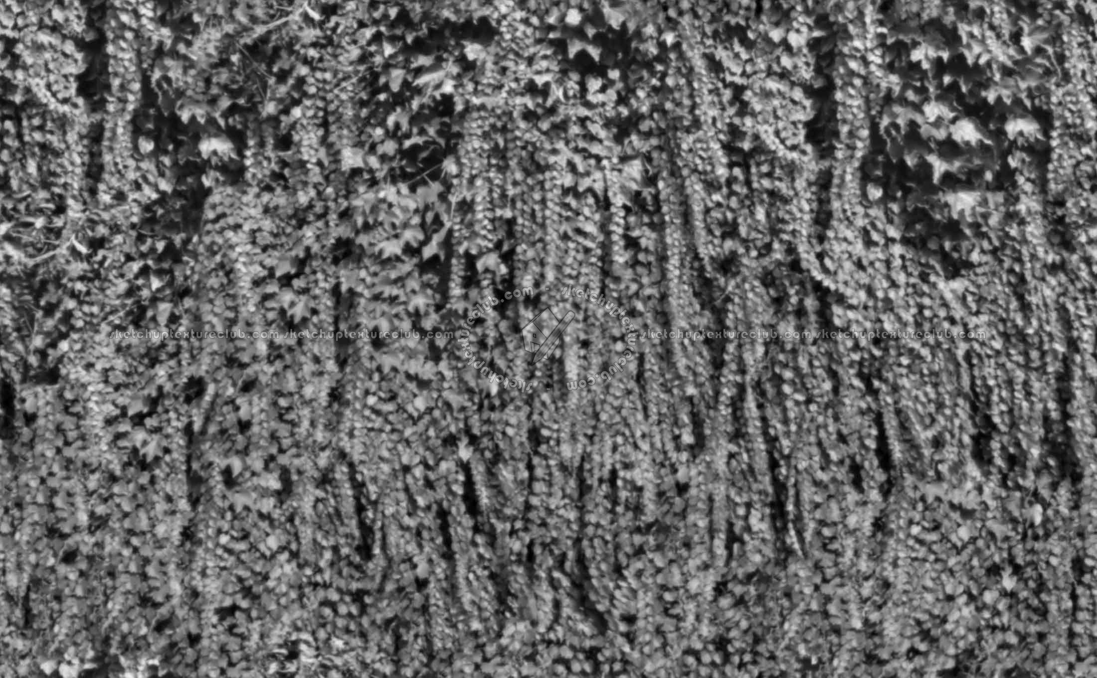 Textures   -   NATURE ELEMENTS   -   VEGETATION   -   Hedges  - Green hedge texture seamless 19798 - Displacement