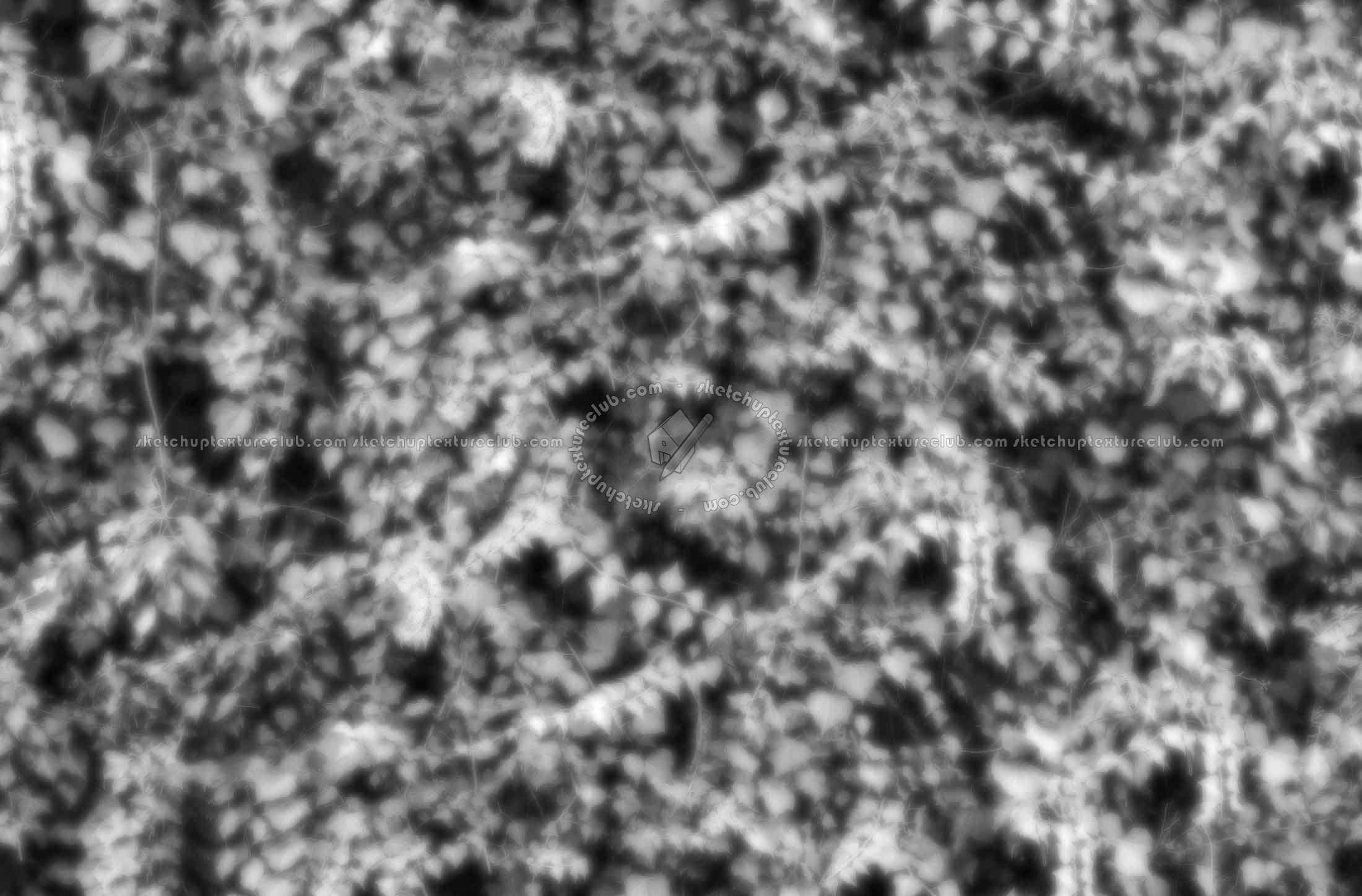Textures   -   NATURE ELEMENTS   -   VEGETATION   -   Hedges  - Ivy hedge texture seamless 20192 - Displacement