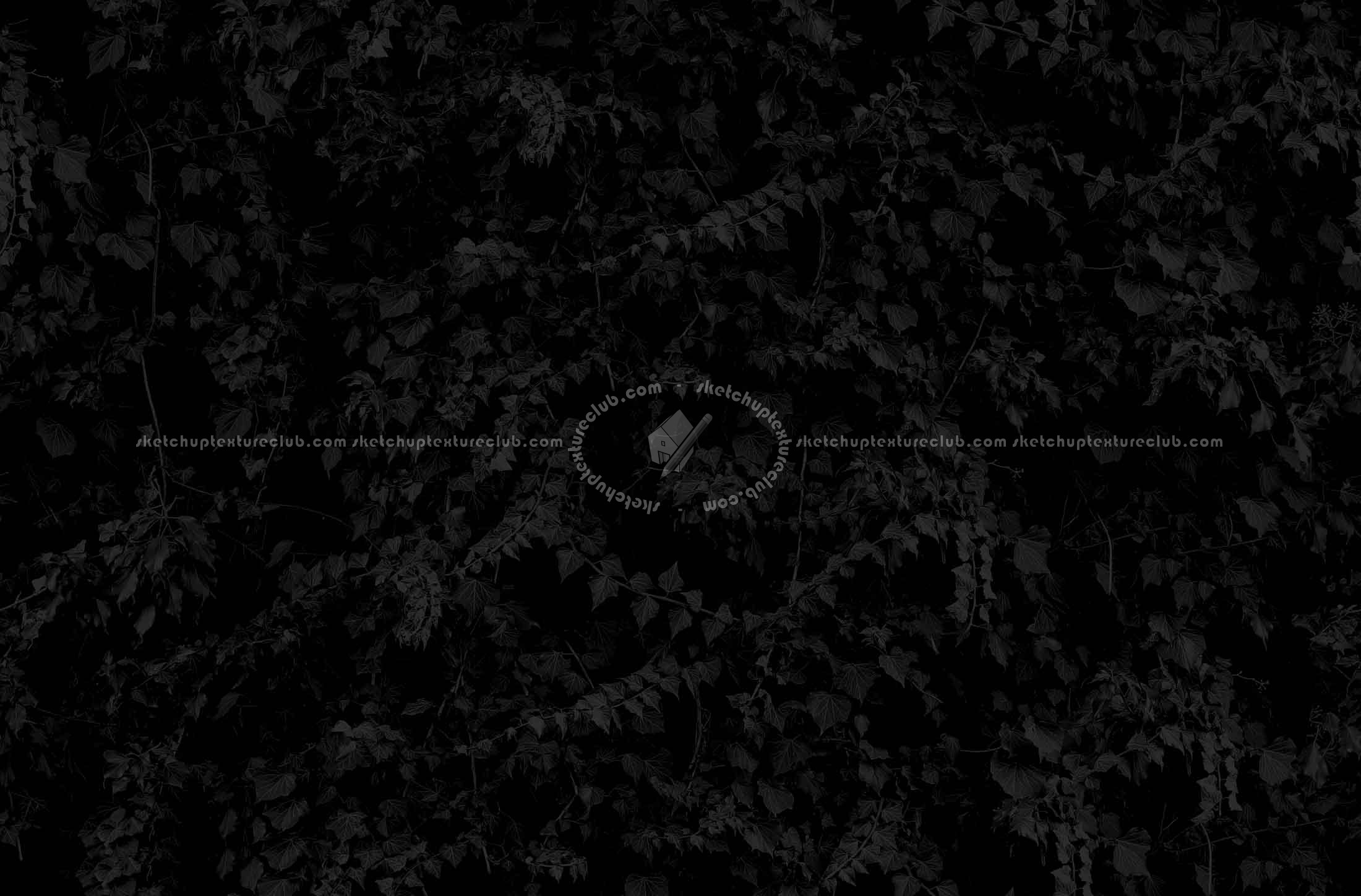 Textures   -   NATURE ELEMENTS   -   VEGETATION   -   Hedges  - Ivy hedge texture seamless 20192 - Specular