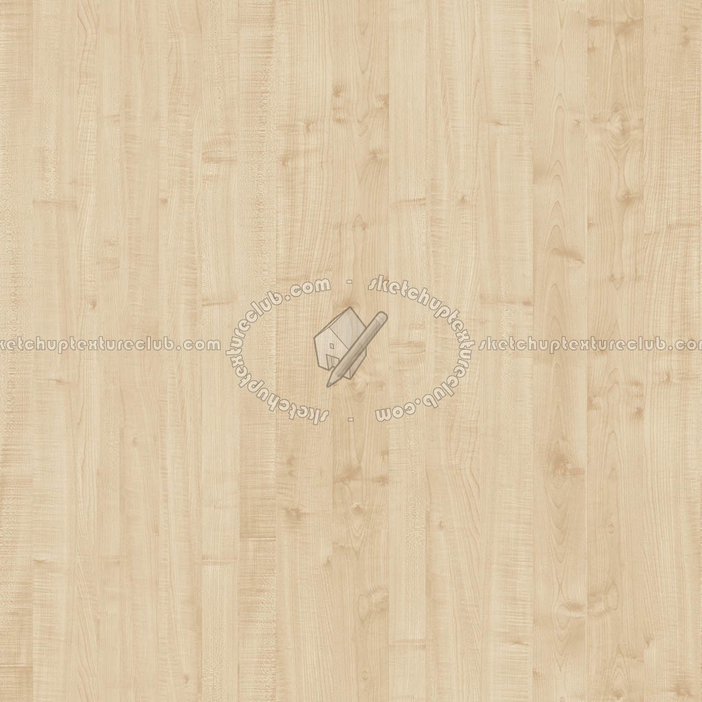 Textures   -   ARCHITECTURE   -   WOOD   -   Fine wood   -   Light wood  - Light wood fine texture seamless 04364 (seamless)