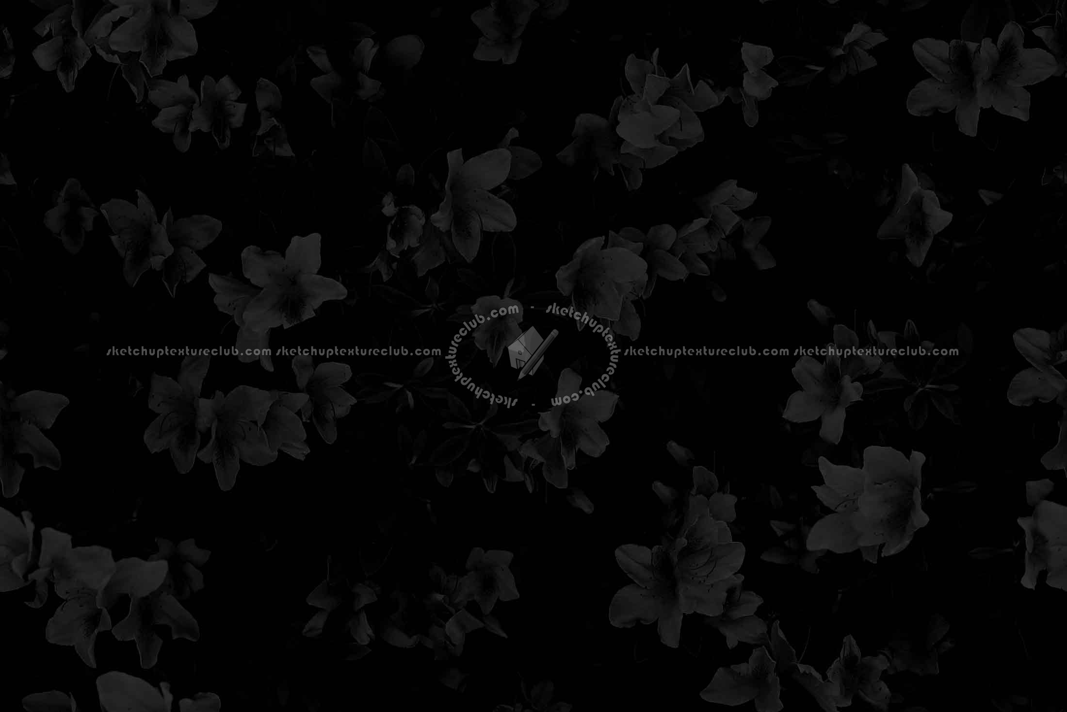 Textures   -   NATURE ELEMENTS   -   VEGETATION   -   Hedges  - Hedge in bloom texture seamless 20653 - Specular