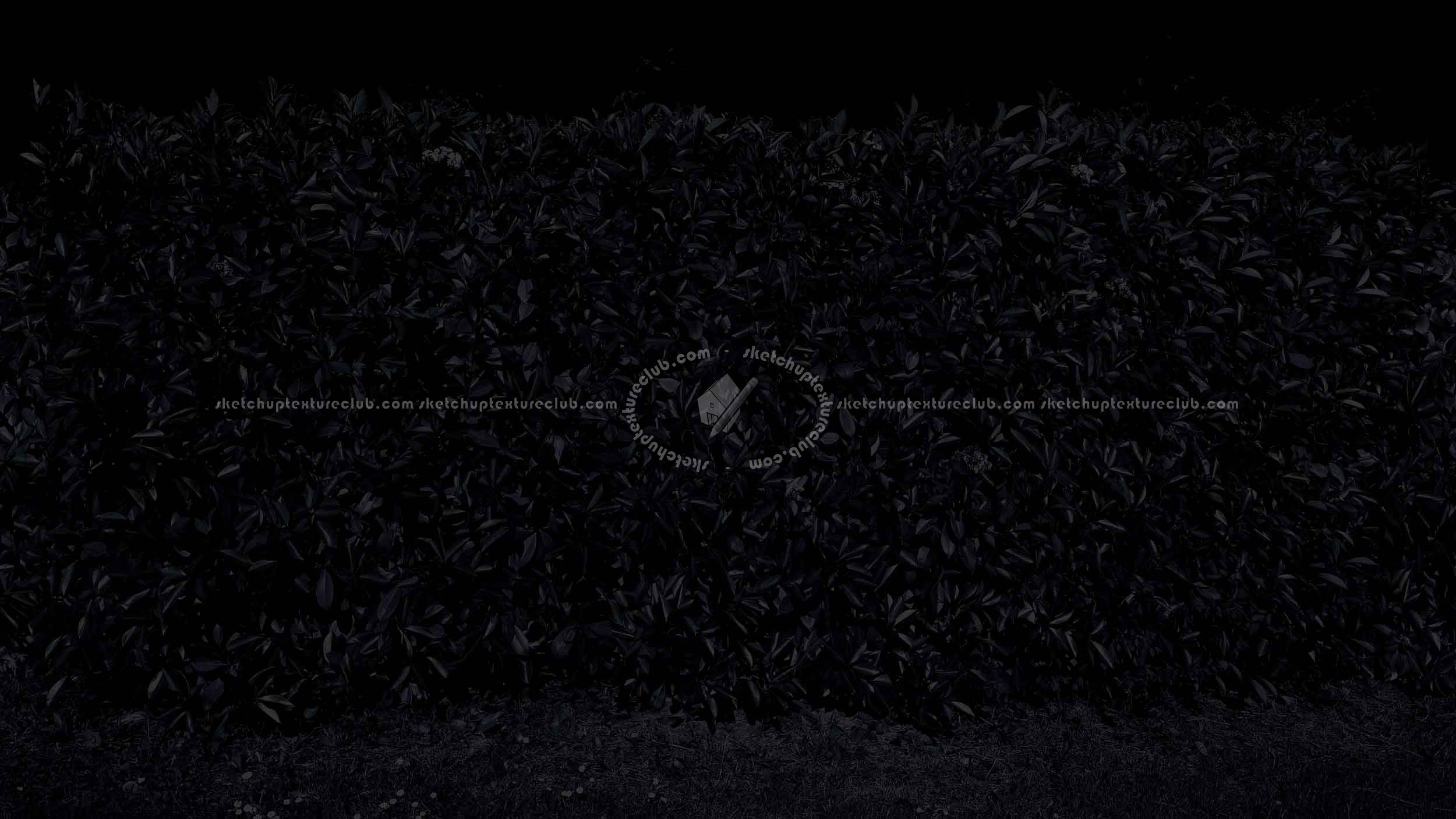 Textures   -   NATURE ELEMENTS   -   VEGETATION   -   Hedges  - Cut out red robin hedge texture seamless 20696 - Specular