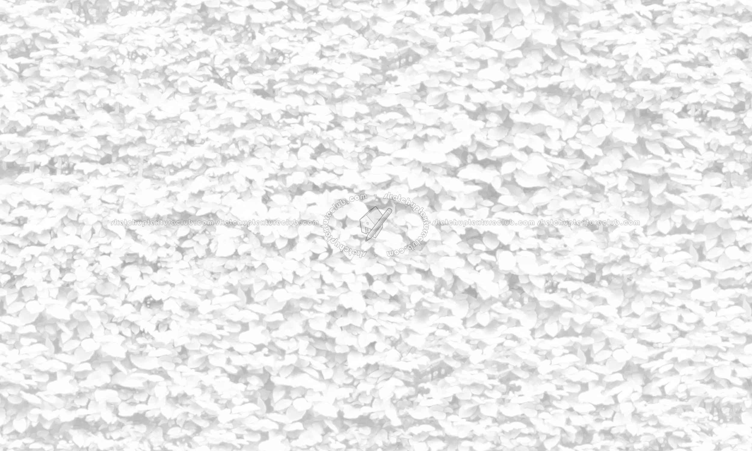 Textures   -   NATURE ELEMENTS   -   VEGETATION   -   Hedges  - Green hedge texture seamless 20732 - Ambient occlusion