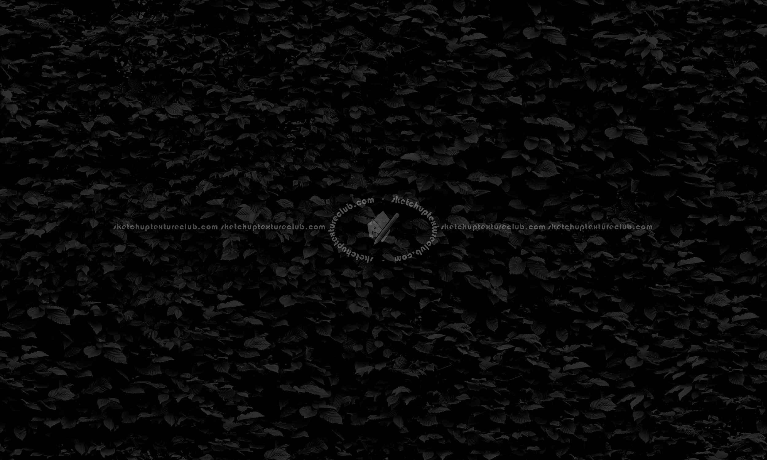 Textures   -   NATURE ELEMENTS   -   VEGETATION   -   Hedges  - Green hedge texture seamless 20732 - Specular