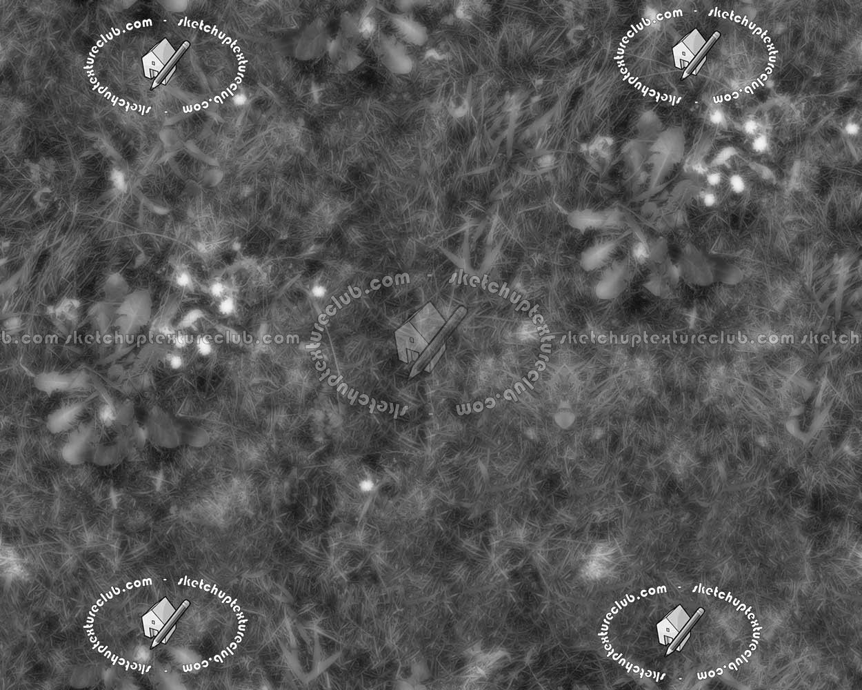 Textures   -   NATURE ELEMENTS   -   VEGETATION   -   Green grass  - Green grass texture seamless 12974 - Bump