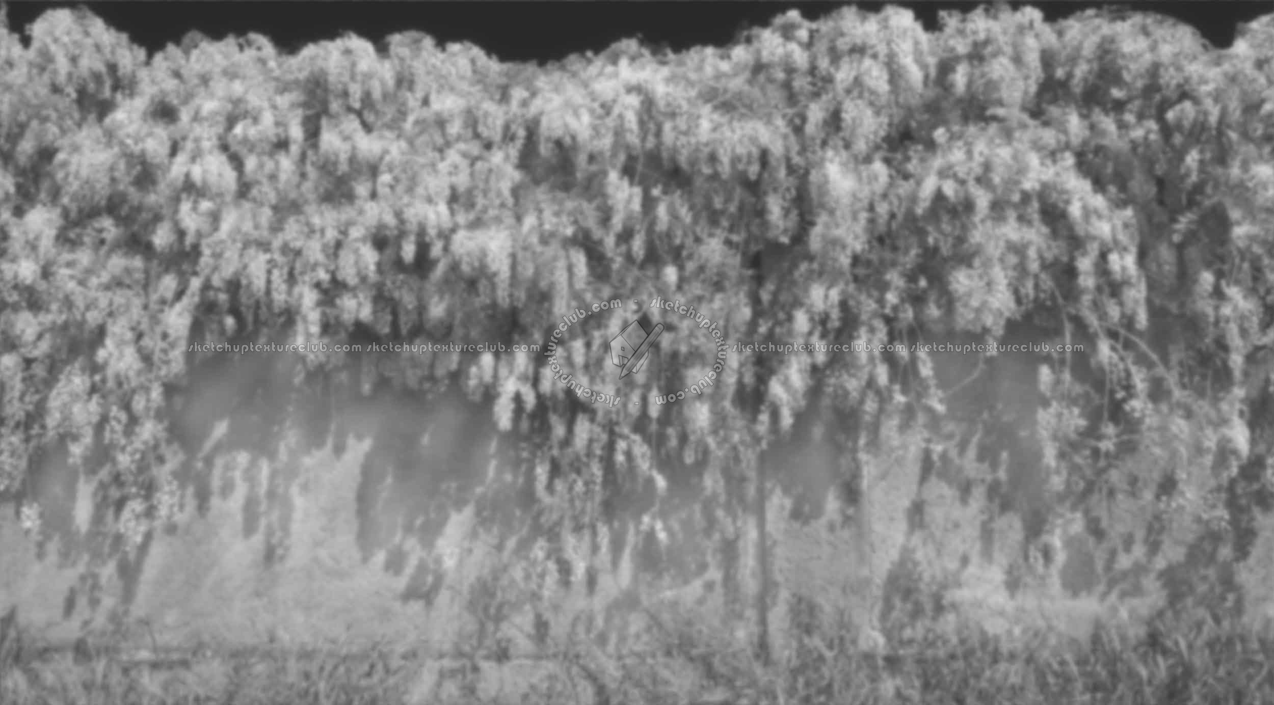 Textures   -   NATURE ELEMENTS   -   VEGETATION   -   Hedges  - Cement wall with wisteria cut out seamless 20735 - Displacement