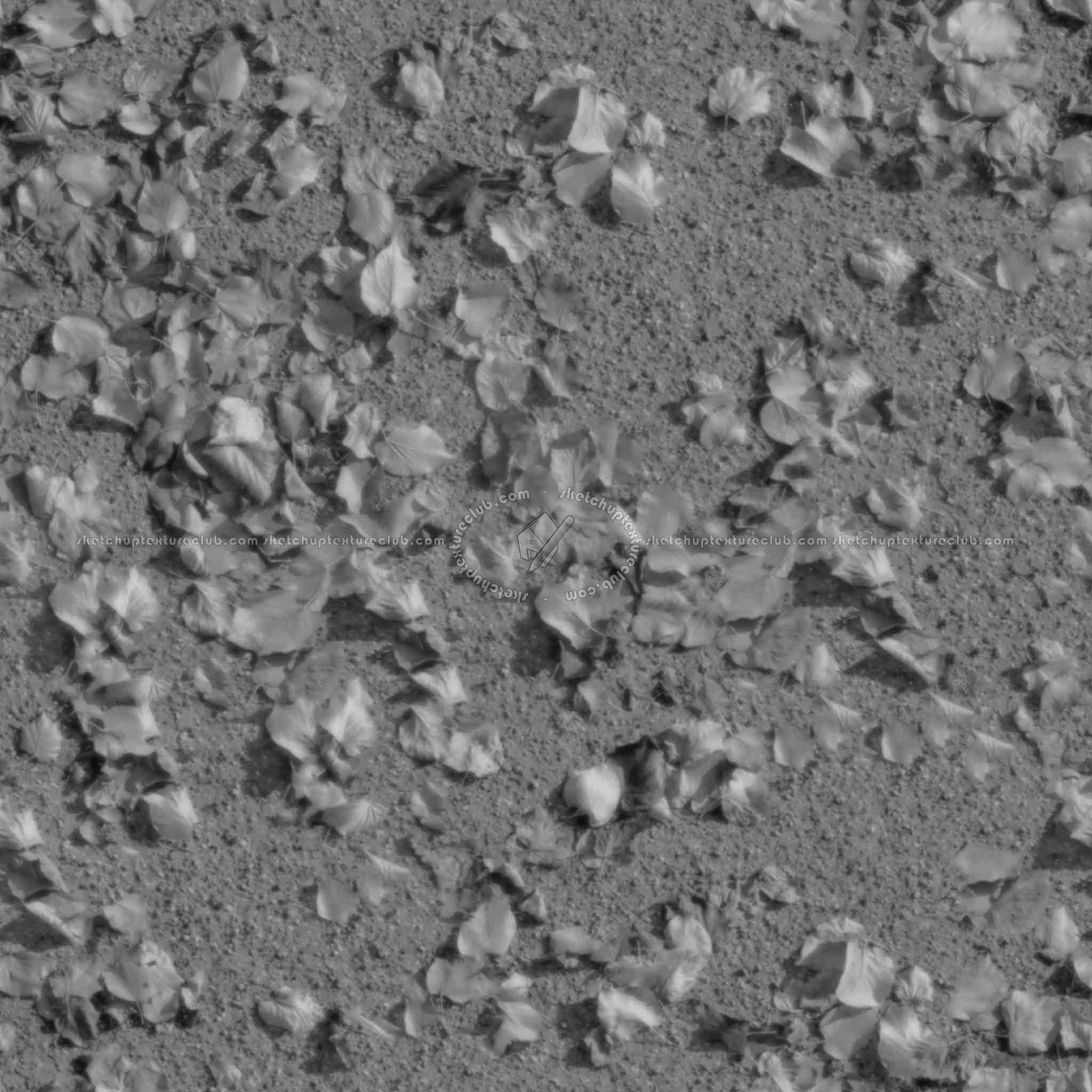 Textures   -   NATURE ELEMENTS   -   VEGETATION   -   Leaves dead  - Leaves dead on the asphalt texture seamless 20452 - Displacement