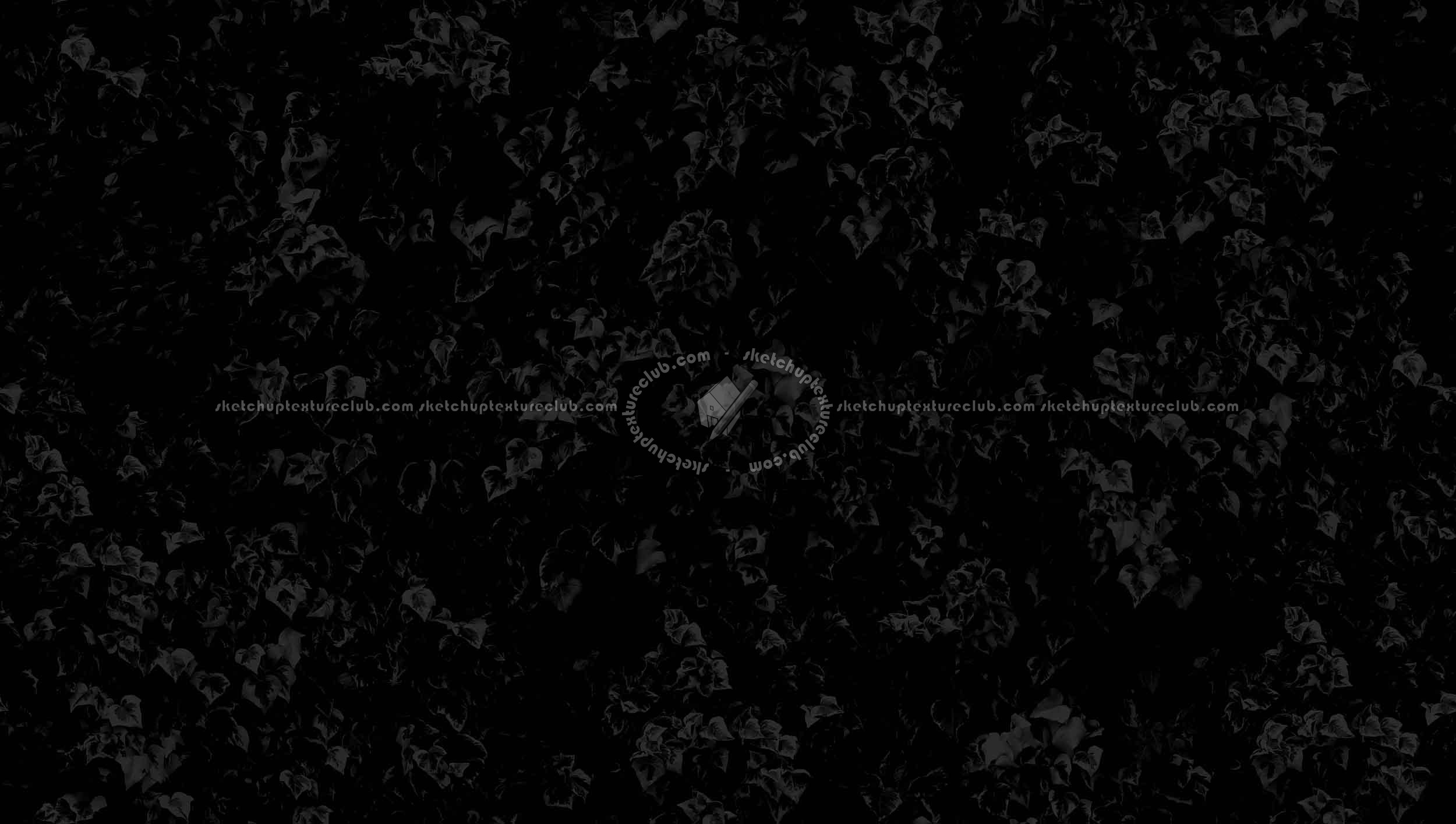 Textures   -   NATURE ELEMENTS   -   VEGETATION   -   Hedges  - Climbing ivy texture seamless 20775 - Specular