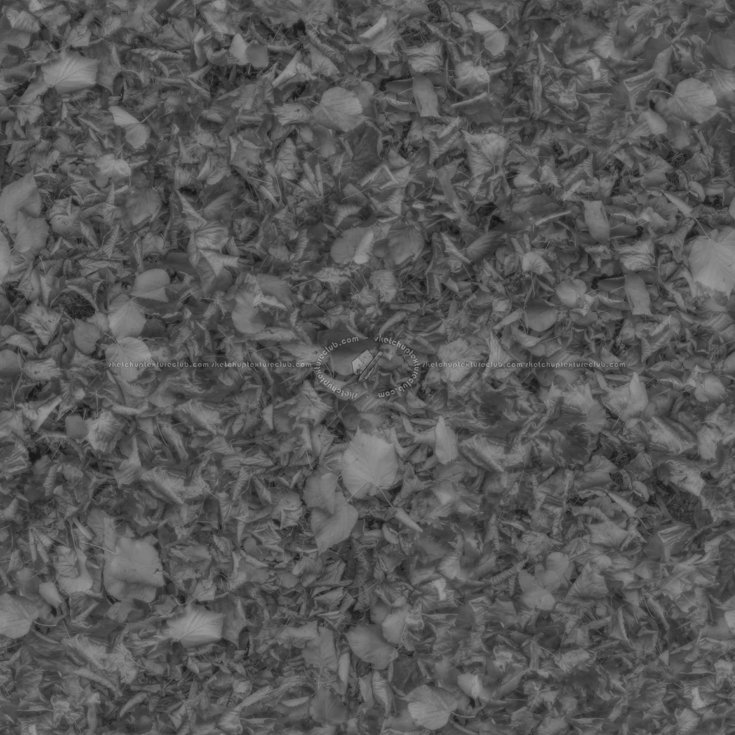 Textures   -   NATURE ELEMENTS   -   VEGETATION   -   Leaves dead  - Leaves dead PBR texture seamless 22027 - Displacement