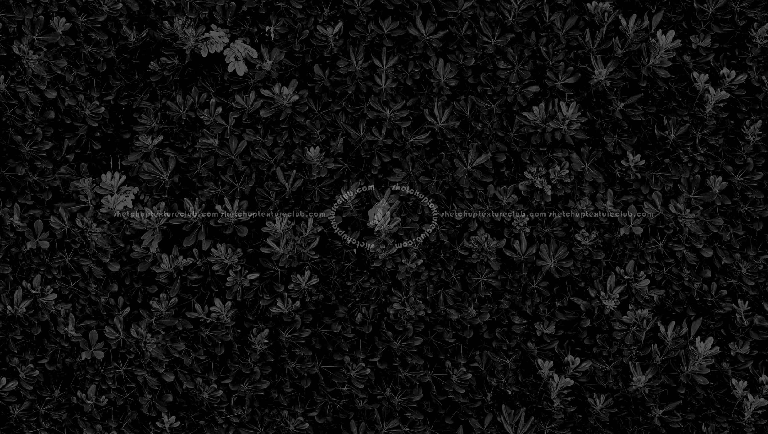 Textures   -   NATURE ELEMENTS   -   VEGETATION   -   Hedges  - Green hedge texture seamless 20804 - Specular