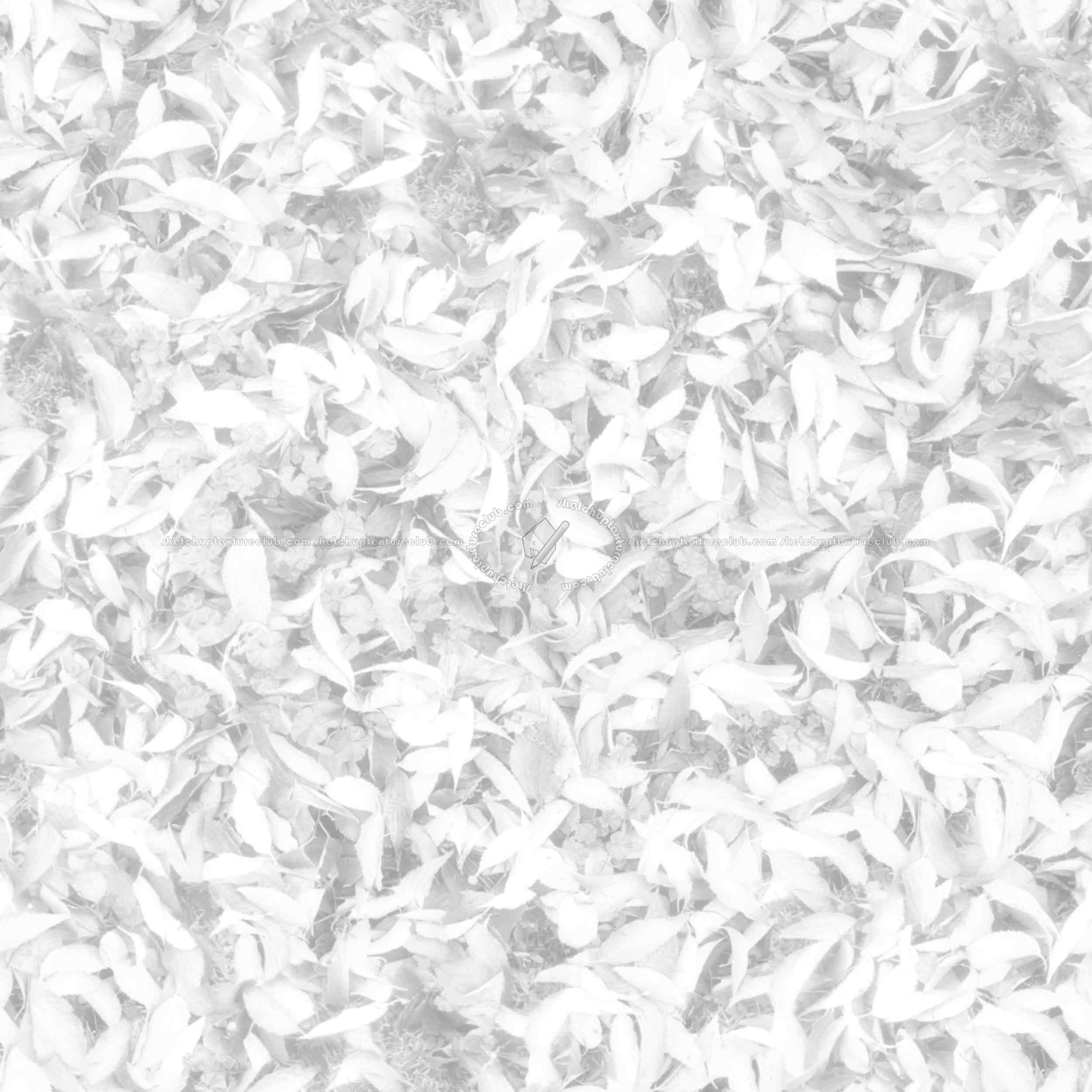 Textures   -   NATURE ELEMENTS   -   VEGETATION   -   Leaves dead  - Leaves dead PBR texture seamless 22028 - Ambient occlusion