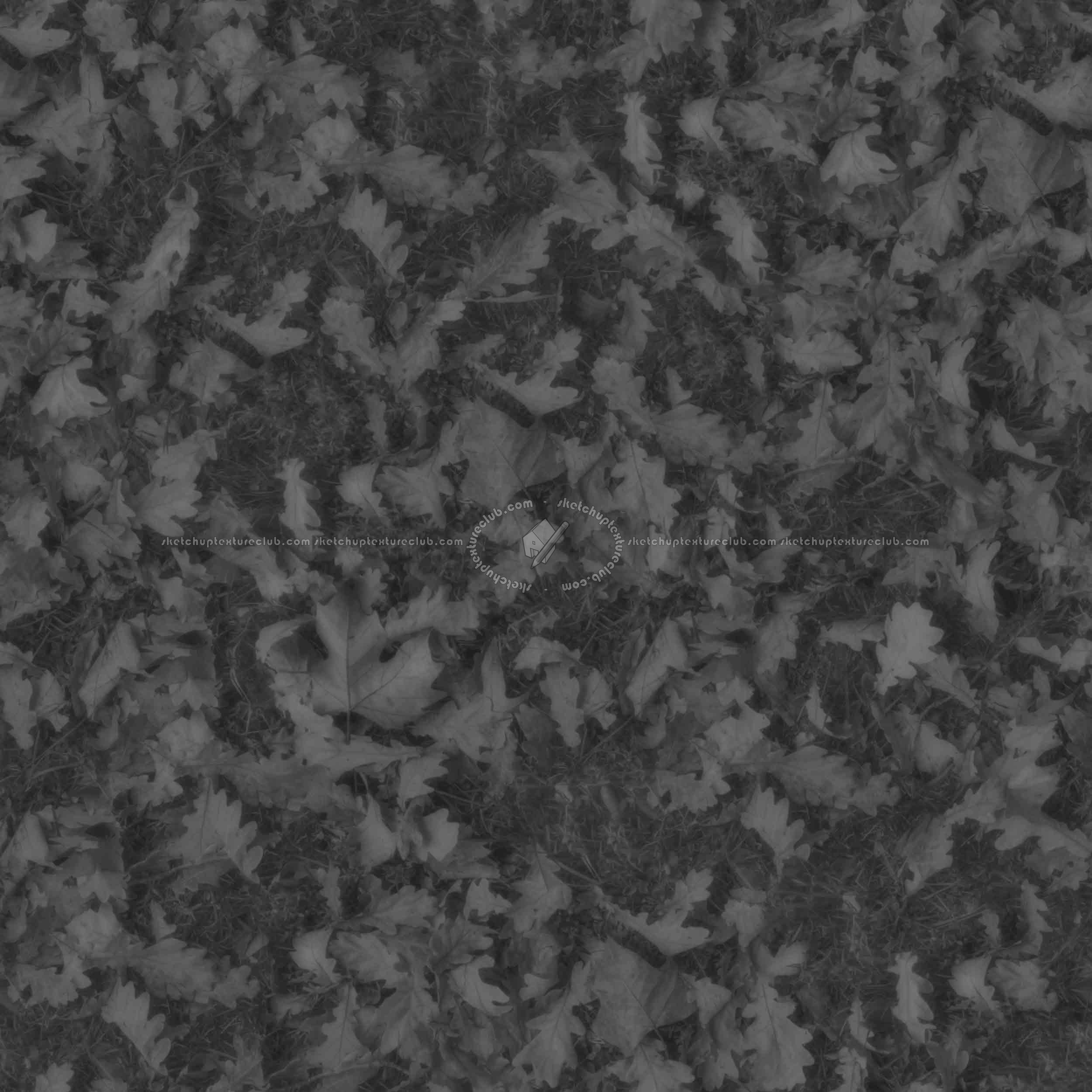 Textures   -   NATURE ELEMENTS   -   VEGETATION   -   Leaves dead  - Leaves dead PBR texture seamless 22029 - Displacement