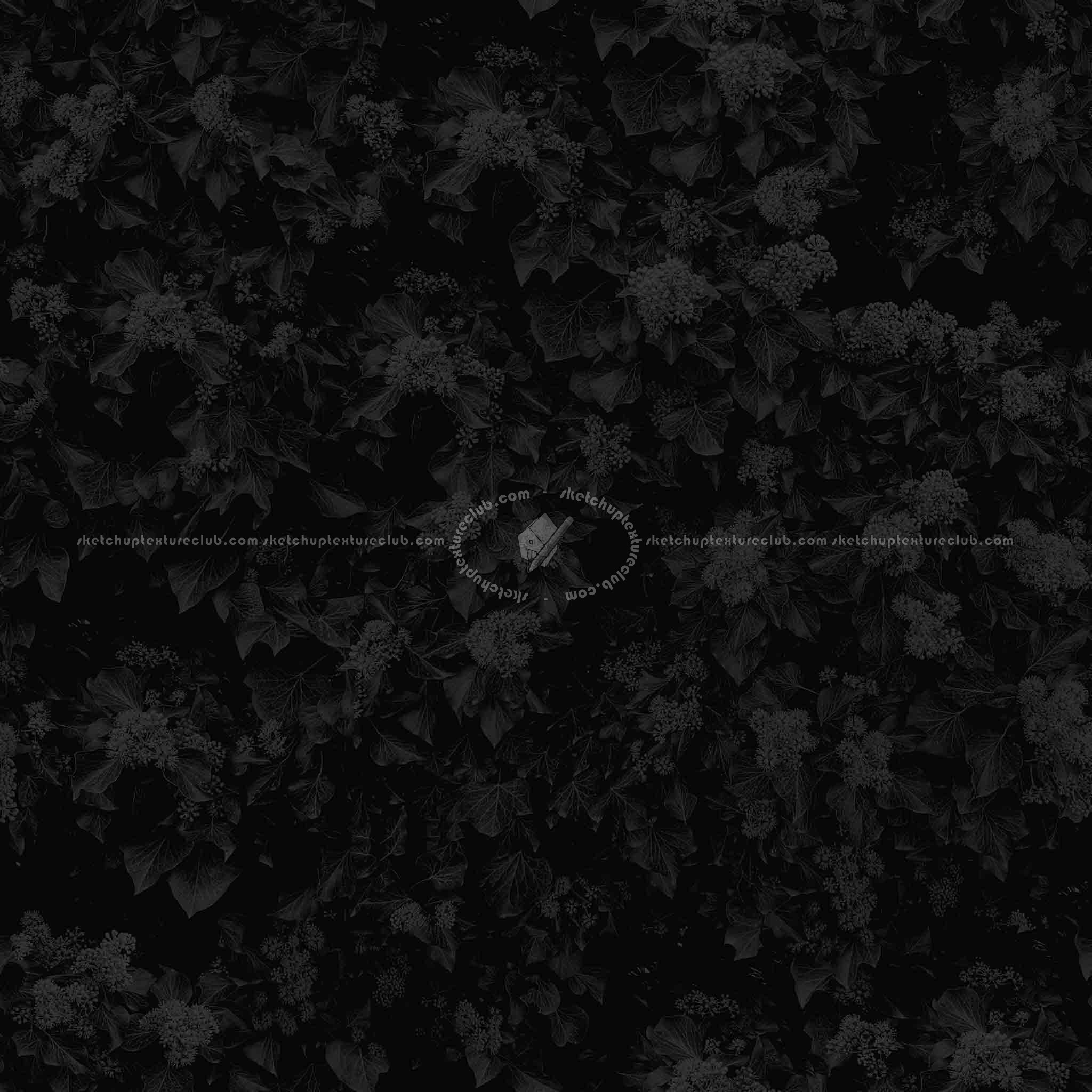 Textures   -   NATURE ELEMENTS   -   VEGETATION   -   Hedges  - green hedge PBR texture seamless 21450 - Specular