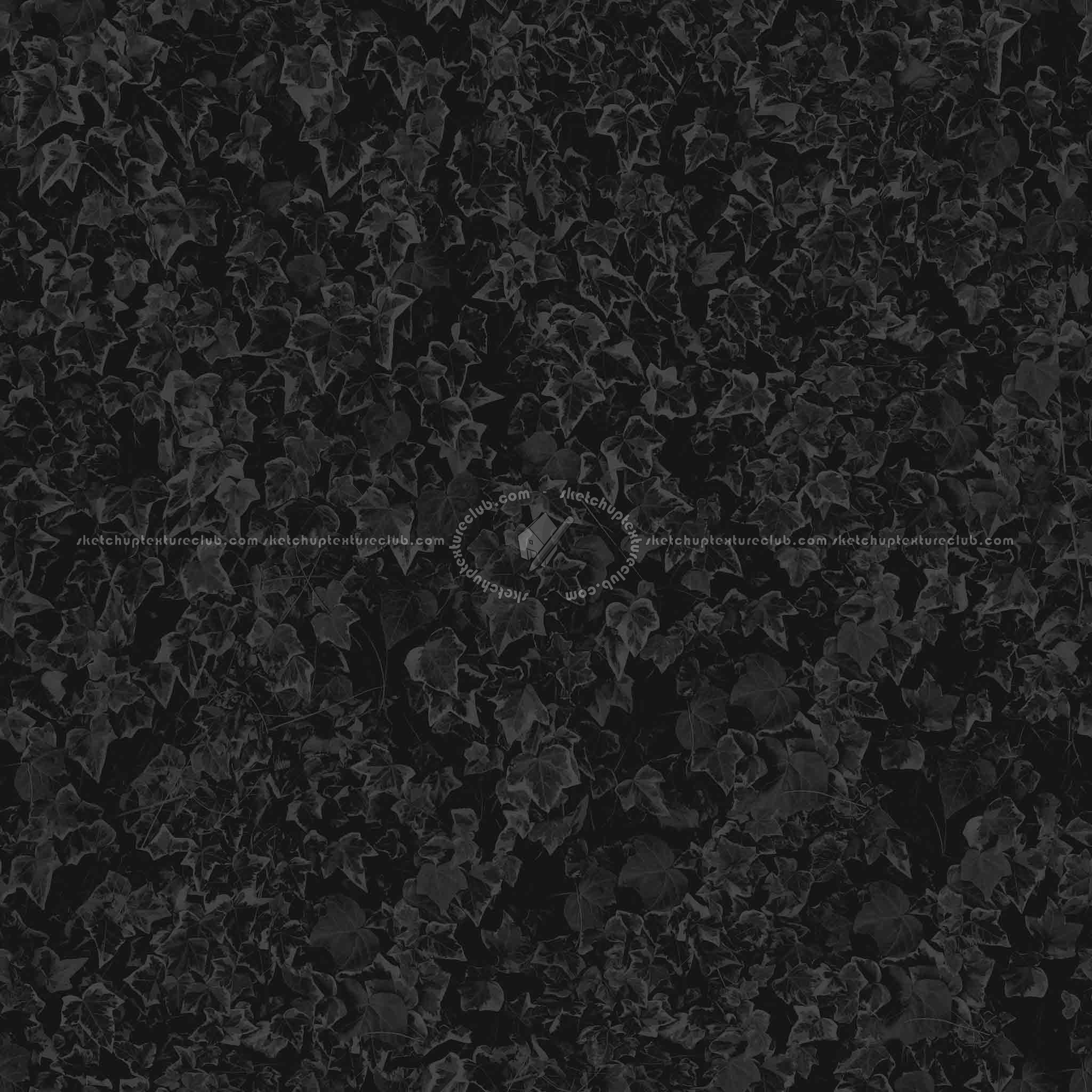 Textures   -   NATURE ELEMENTS   -   VEGETATION   -   Hedges  - ivy hedge PBR texture seamless 21451 - Specular