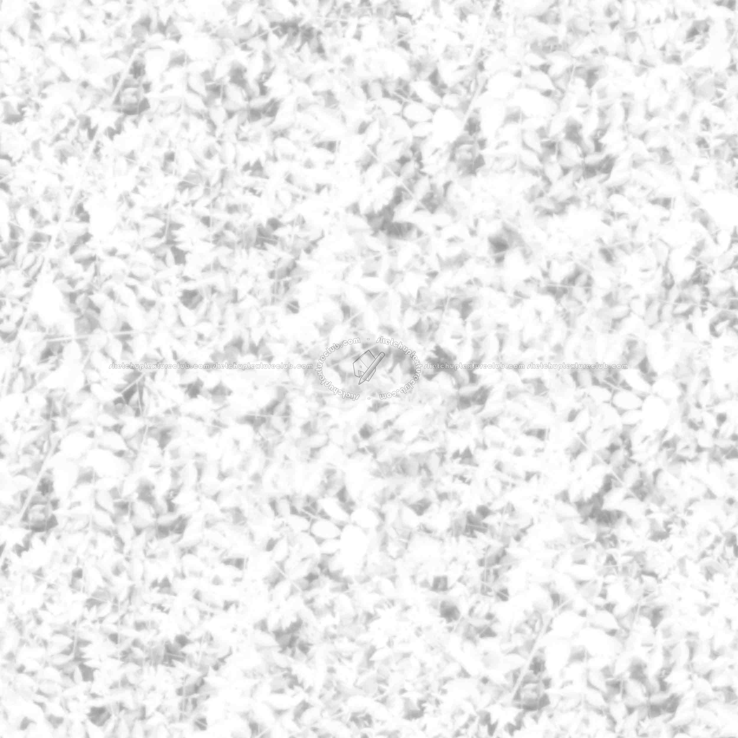 Textures   -   NATURE ELEMENTS   -   VEGETATION   -   Hedges  - Green hedge PBR texture seamless 21694 - Ambient occlusion