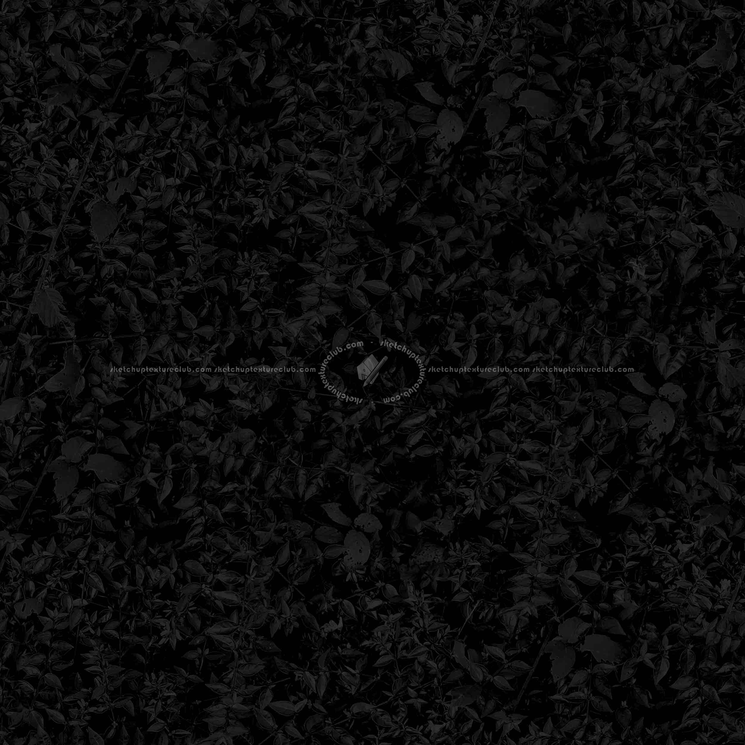 Textures   -   NATURE ELEMENTS   -   VEGETATION   -   Hedges  - Green hedge PBR texture seamless 21694 - Specular