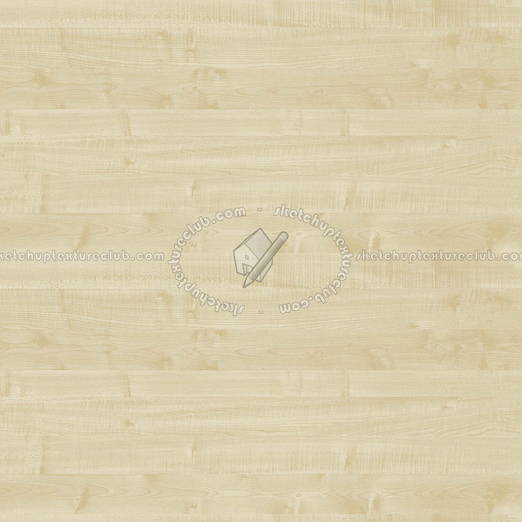 Textures   -   ARCHITECTURE   -   WOOD   -   Fine wood   -   Light wood  - Maple light wood fine texture seamless 04381 (seamless)