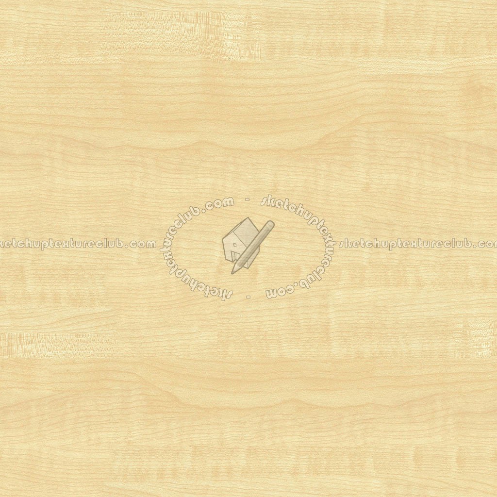 Textures   -   ARCHITECTURE   -   WOOD   -   Fine wood   -   Light wood  - Maple light wood fine texture seamless 04382 (seamless)