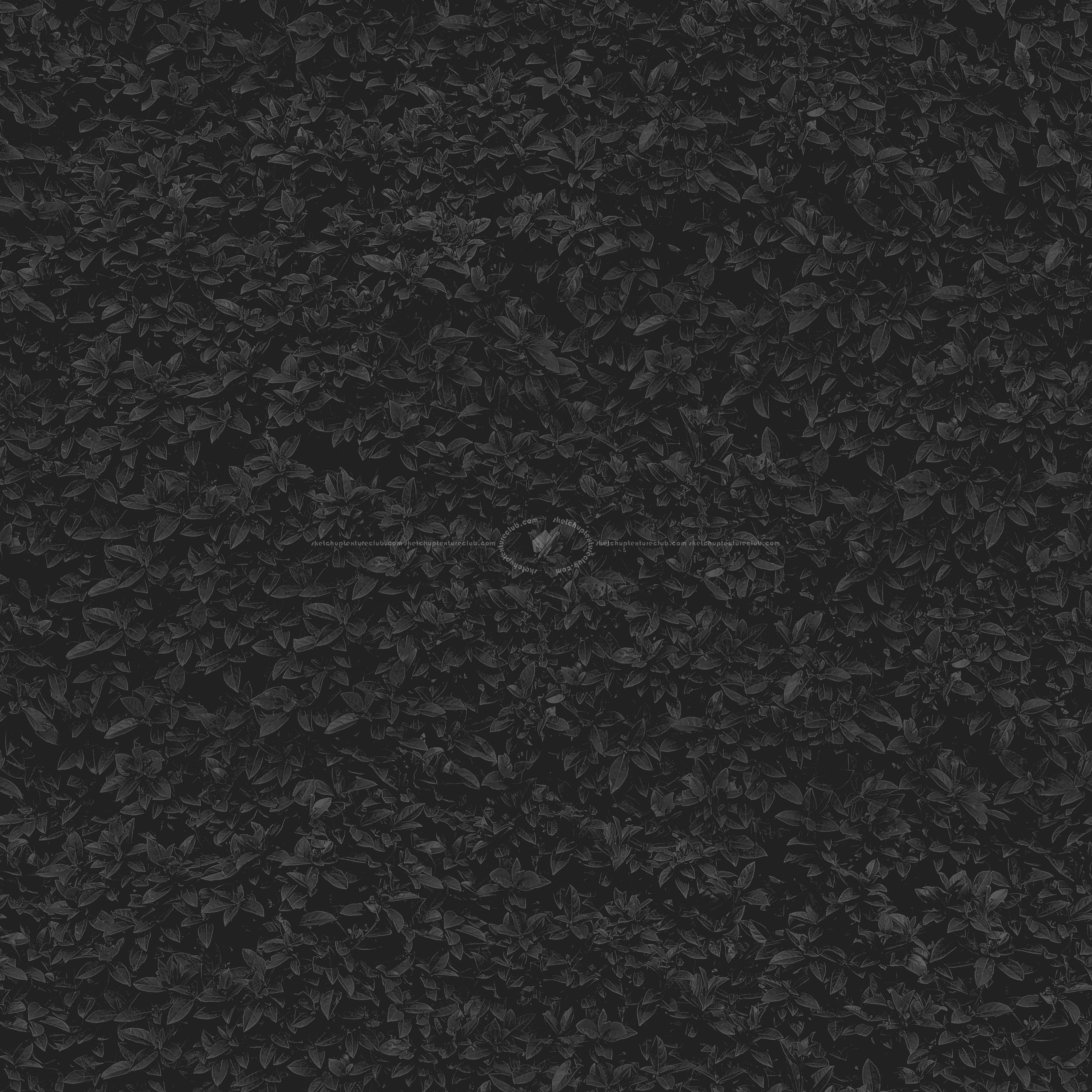 Textures   -   NATURE ELEMENTS   -   VEGETATION   -   Hedges  - Garden hedge pbr texture seamless 22173 - Specular