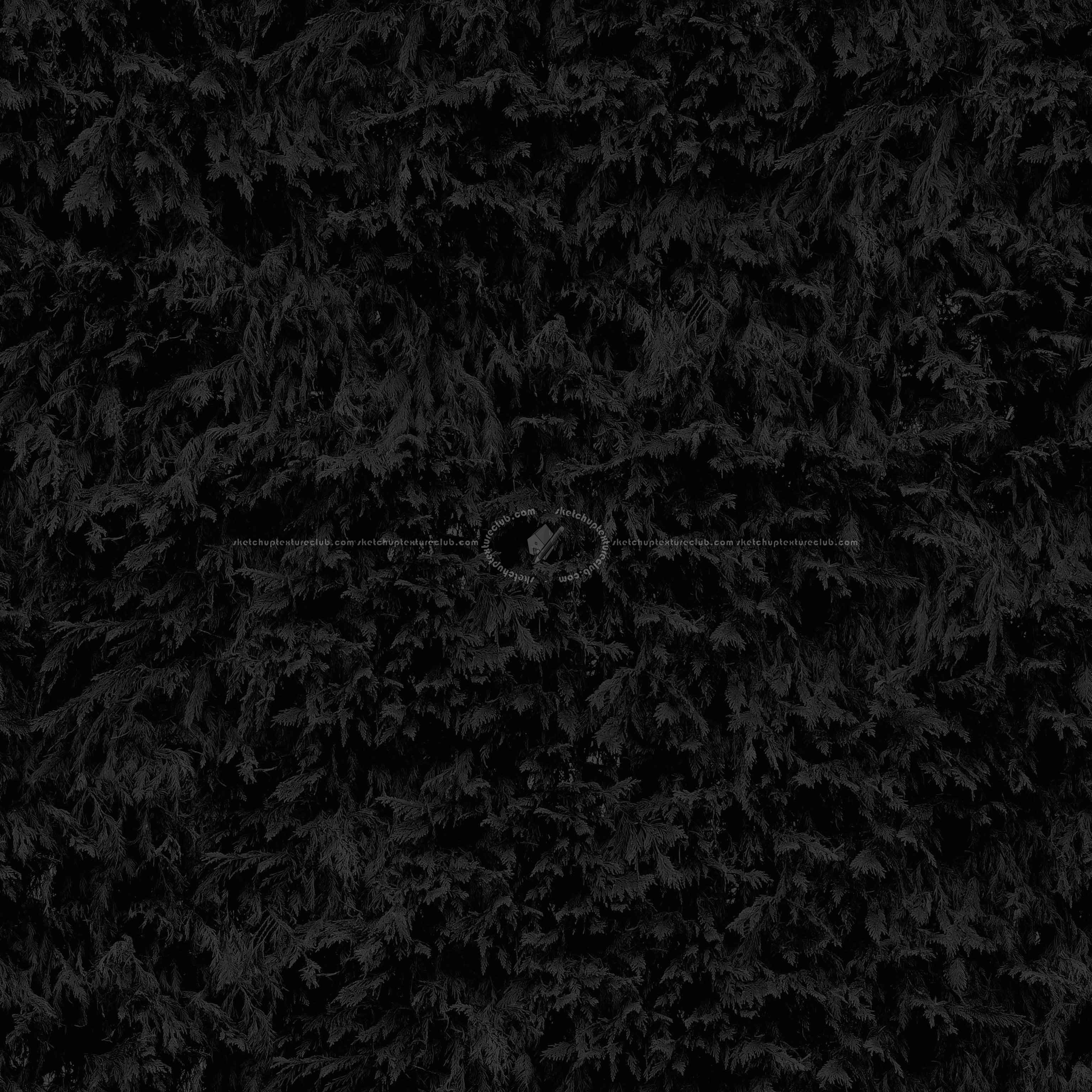 Textures   -   NATURE ELEMENTS   -   VEGETATION   -   Hedges  - damaged cypress hedge PBR texture seamless 22175 - Specular