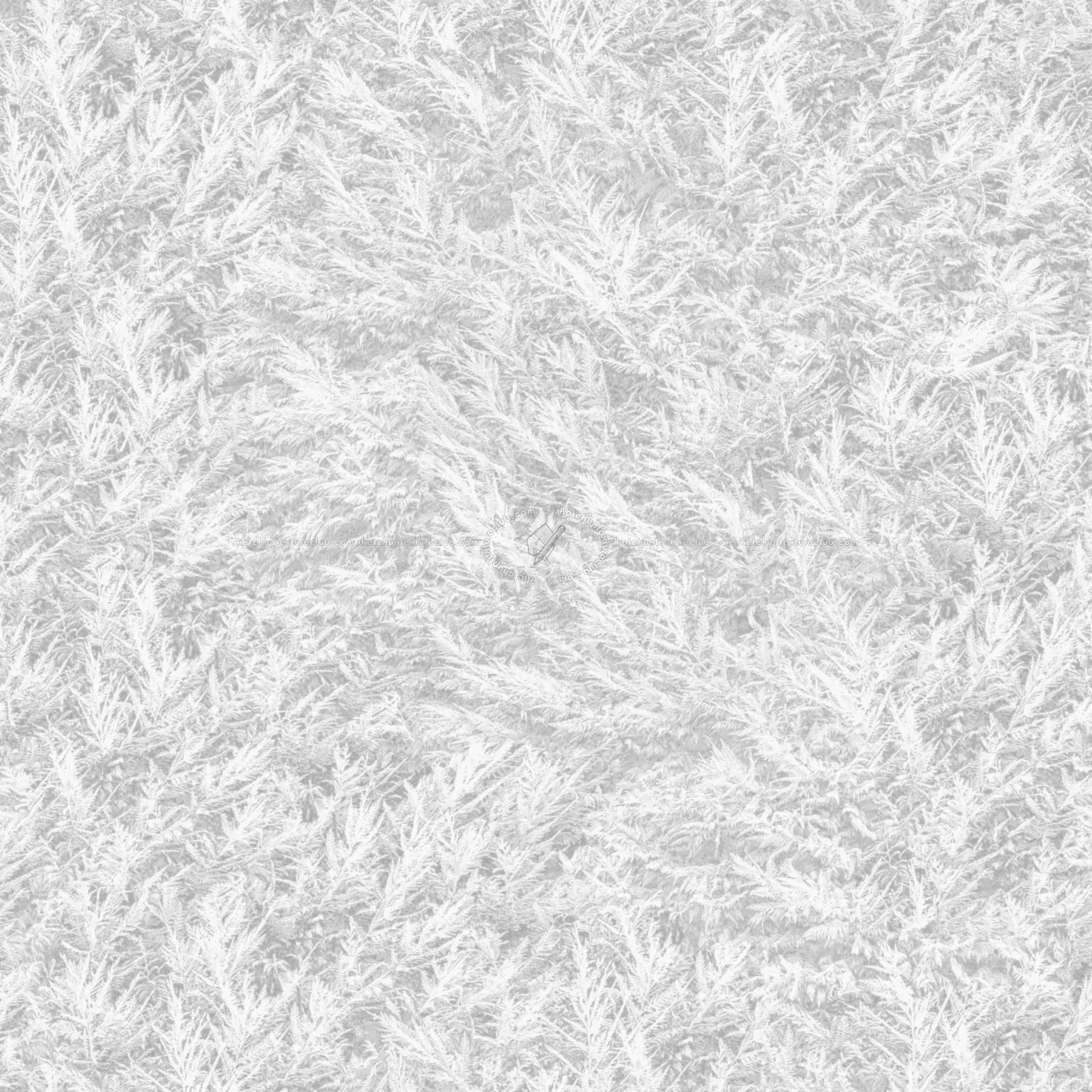 Textures   -   NATURE ELEMENTS   -   VEGETATION   -   Hedges  - Cypress hedge PBR texture seamless 22176 - Ambient occlusion