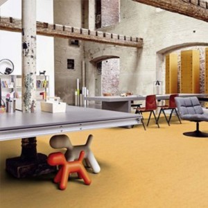 Textures   -   ARCHITECTURE   -  LINOLEUM - ACOUSTIC CORK