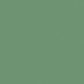 Textures   -   ARCHITECTURE   -   LINOLEUM   -  ETRUSCO xf&#178; - Etrusco linoleum Basil pbr texture-seamless 22464